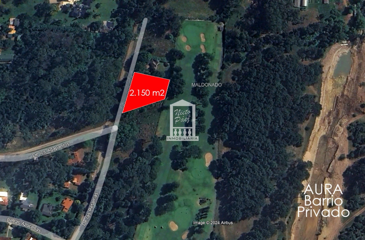 Sobre campo de golf. - NYP39787T