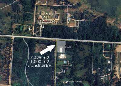 Único. Apto para 2 subsuelos y 16 pisos de altura (23.000 m2)