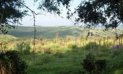 Chacra en Garzón. Sierra, monte y vista