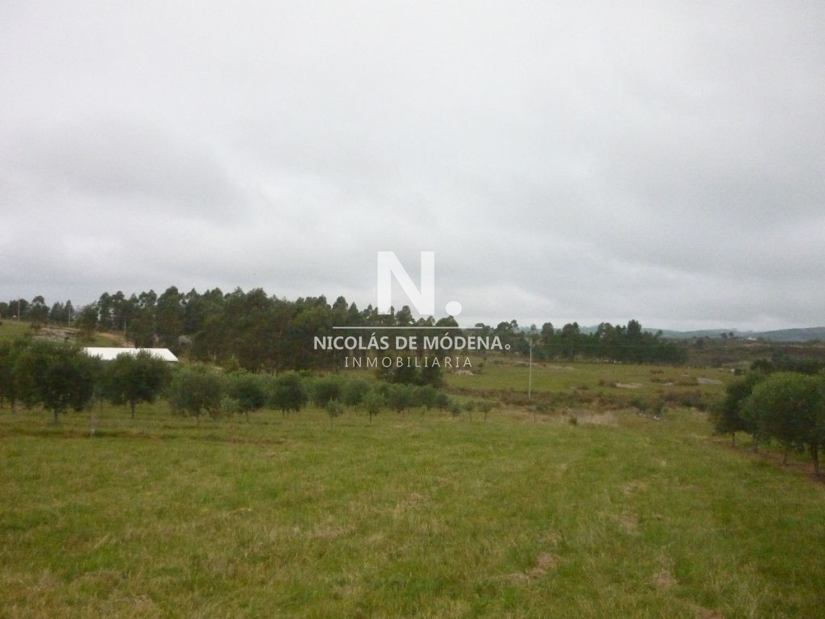 Chacra