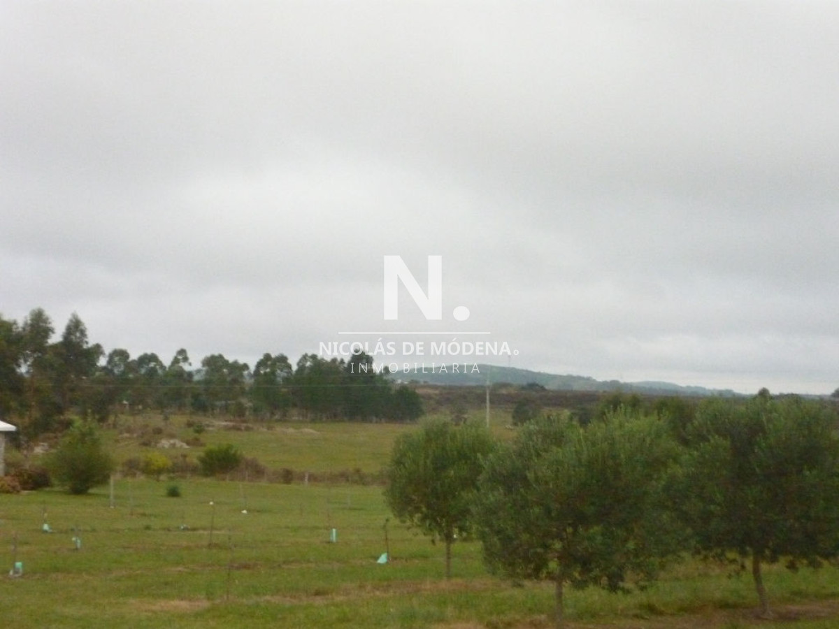 Chacra