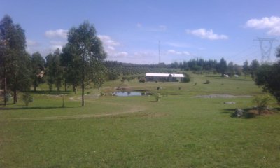 HERMOSA CHACRA CON PRODUCCION DE OLIVOS