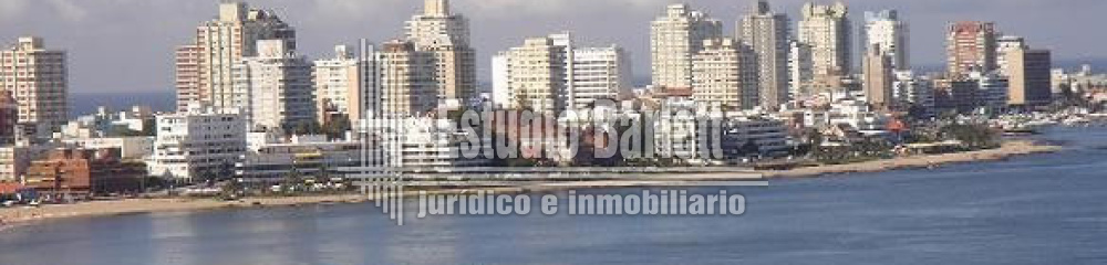 Apartamento en Punta del Este, Mansa