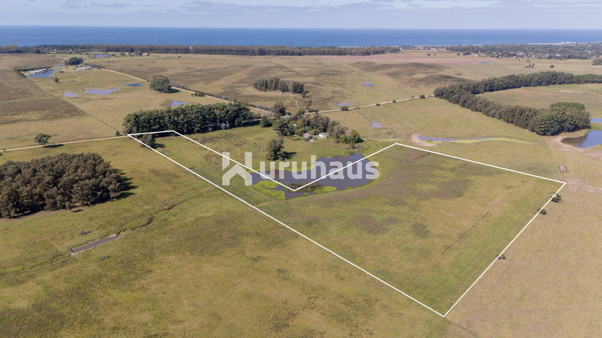 Santa Monica - GoPunta - Portal Inmobiliario de Punta del Este - Maldonado