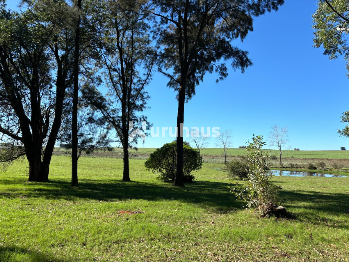 Medellin - GoPunta - Portal Inmobiliario de Punta del Este - Maldonado