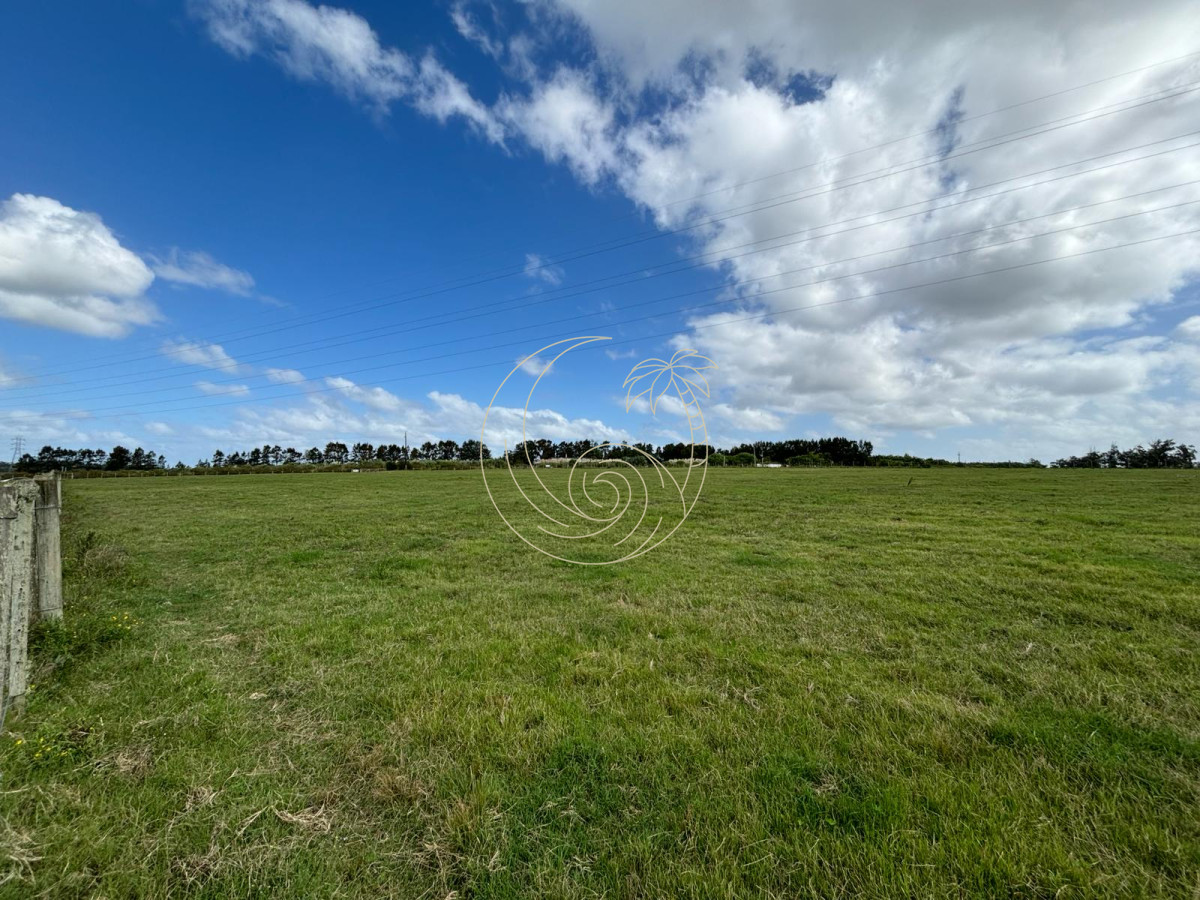 Chacra ID.21092944 - Chacra de 6 has. en venta, Ruta 104