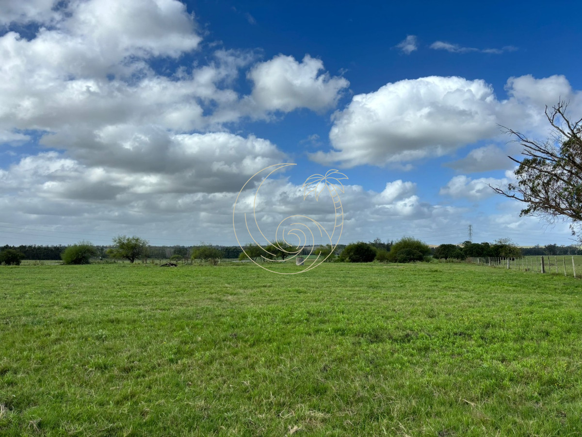 Chacra ID.21092943 - Chacra de 5 has. en venta sobre ruta 104 