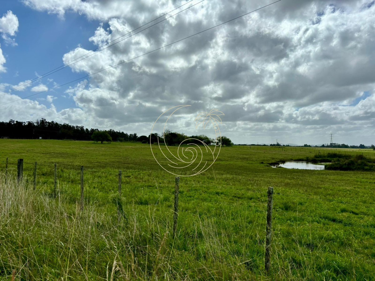 Chacra ID.21092945 - Chacra en venta de 5 has. en Ruta 104 