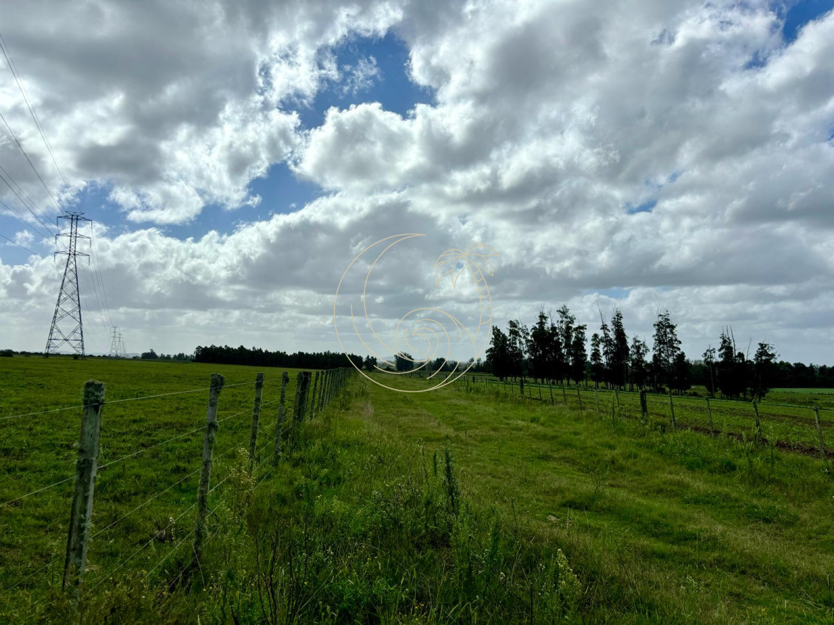 Chacra ID.21092944 - Chacra de 6 has. en venta, Ruta 104