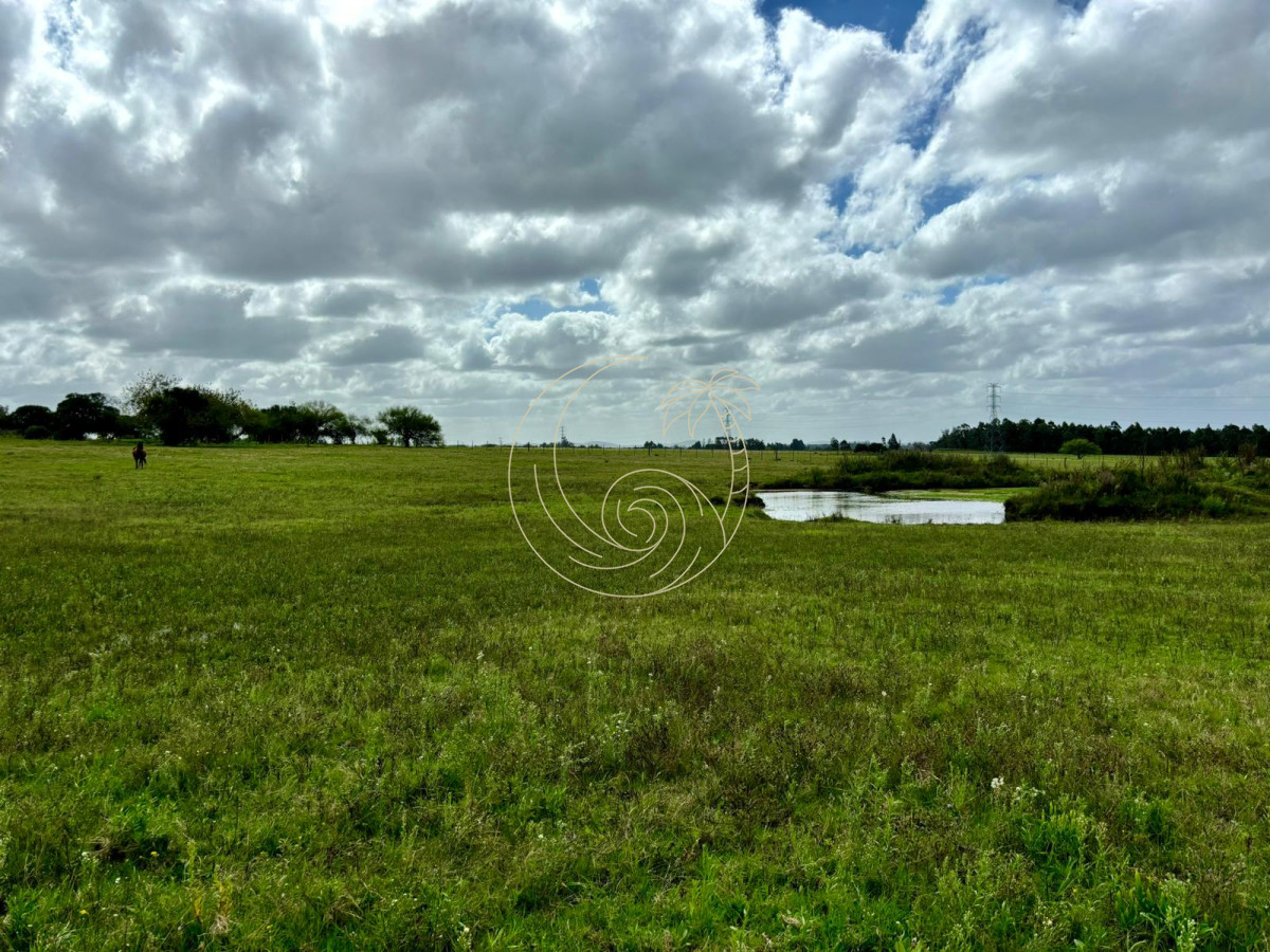 Chacra ID.21092945 - Chacra en venta de 5 has. en Ruta 104 