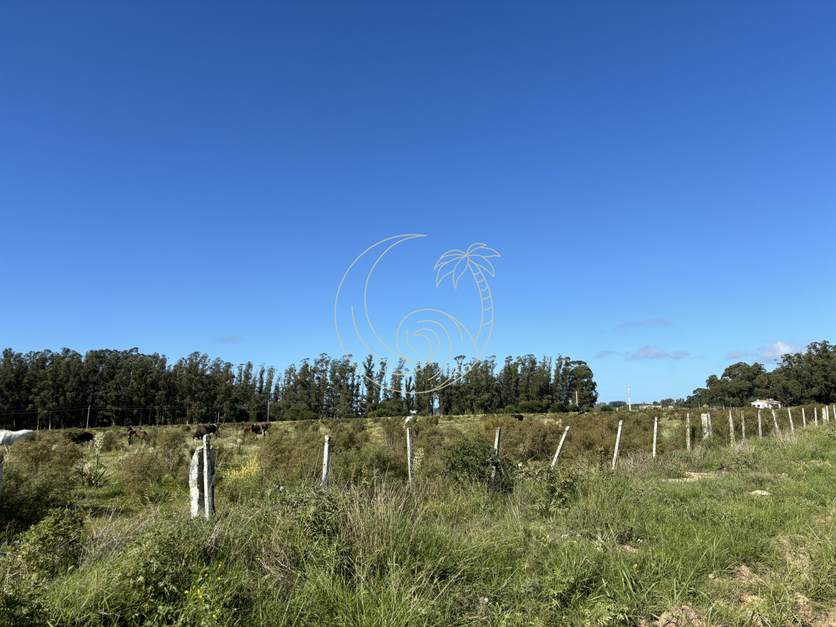 Chacra ID.21092939 - Chacra de 6.6 has en Camino Medellin