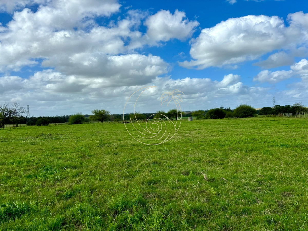 Chacra ID.21092943 - Chacra de 5 has. en venta sobre ruta 104 