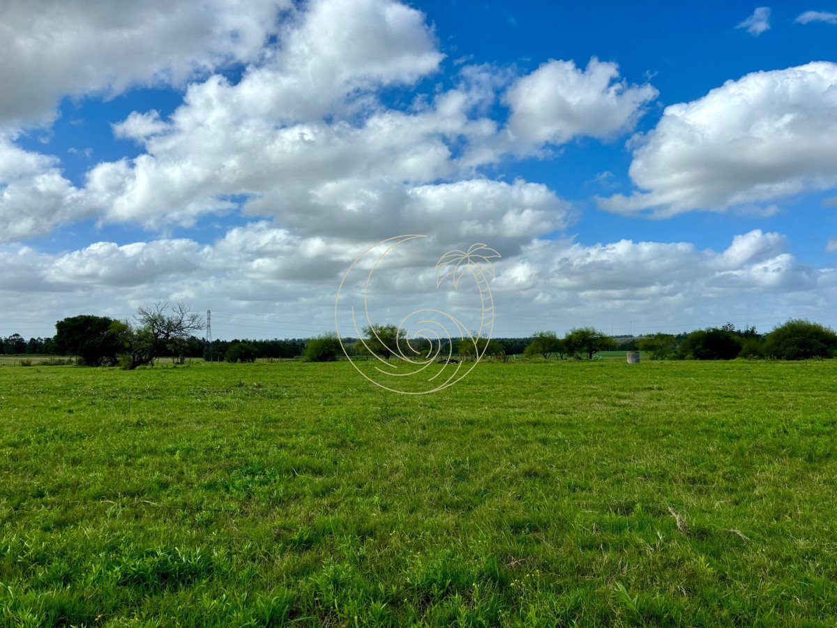 Chacra ID.21092943 - Chacra de 5 has. en venta sobre ruta 104 