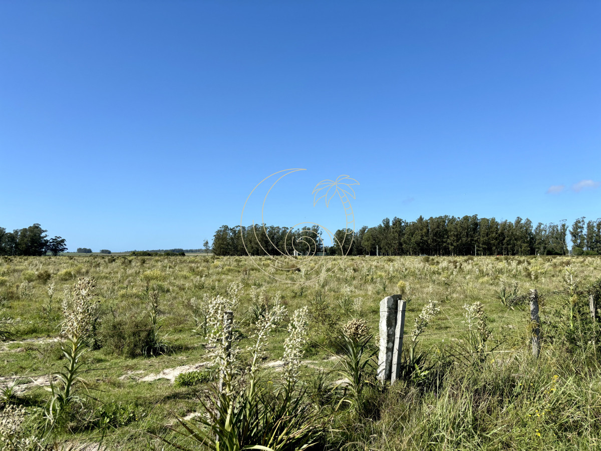 Chacra ID.21092939 - Chacra de 6.6 has en Camino Medellin