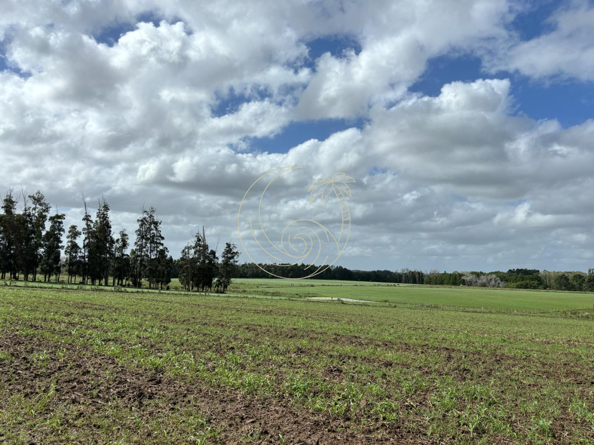 Chacra ID.21092944 - Chacra de 6 has. en venta, Ruta 104