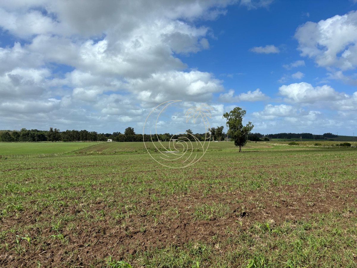 Chacra ID.21092944 - Chacra de 6 has. en venta, Ruta 104