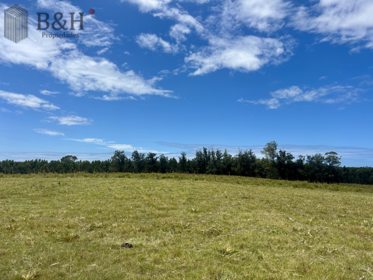 Chacra ID.7980 - Chacra de 5 has. en venta en Camino Medellin