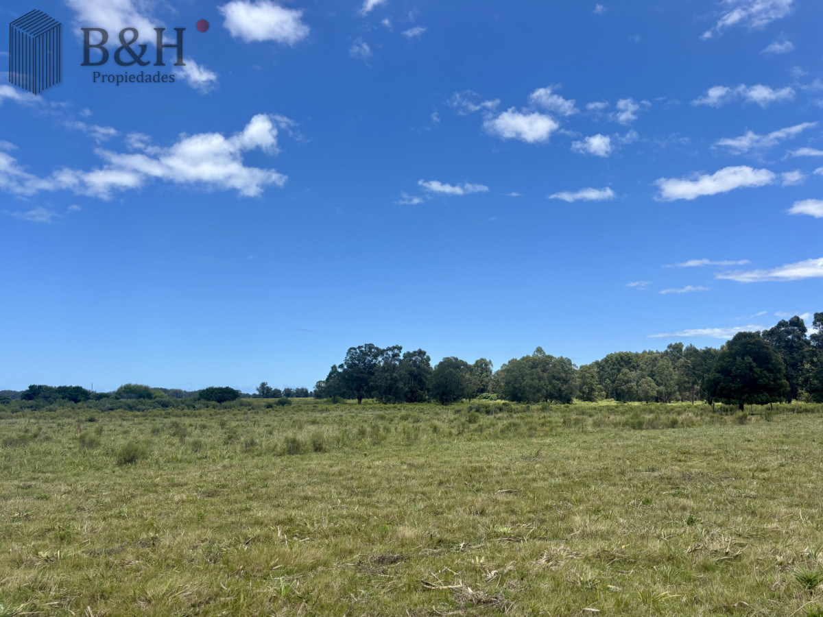 Chacra ID.7980 - Chacra de 5 has. en venta en Camino Medellin