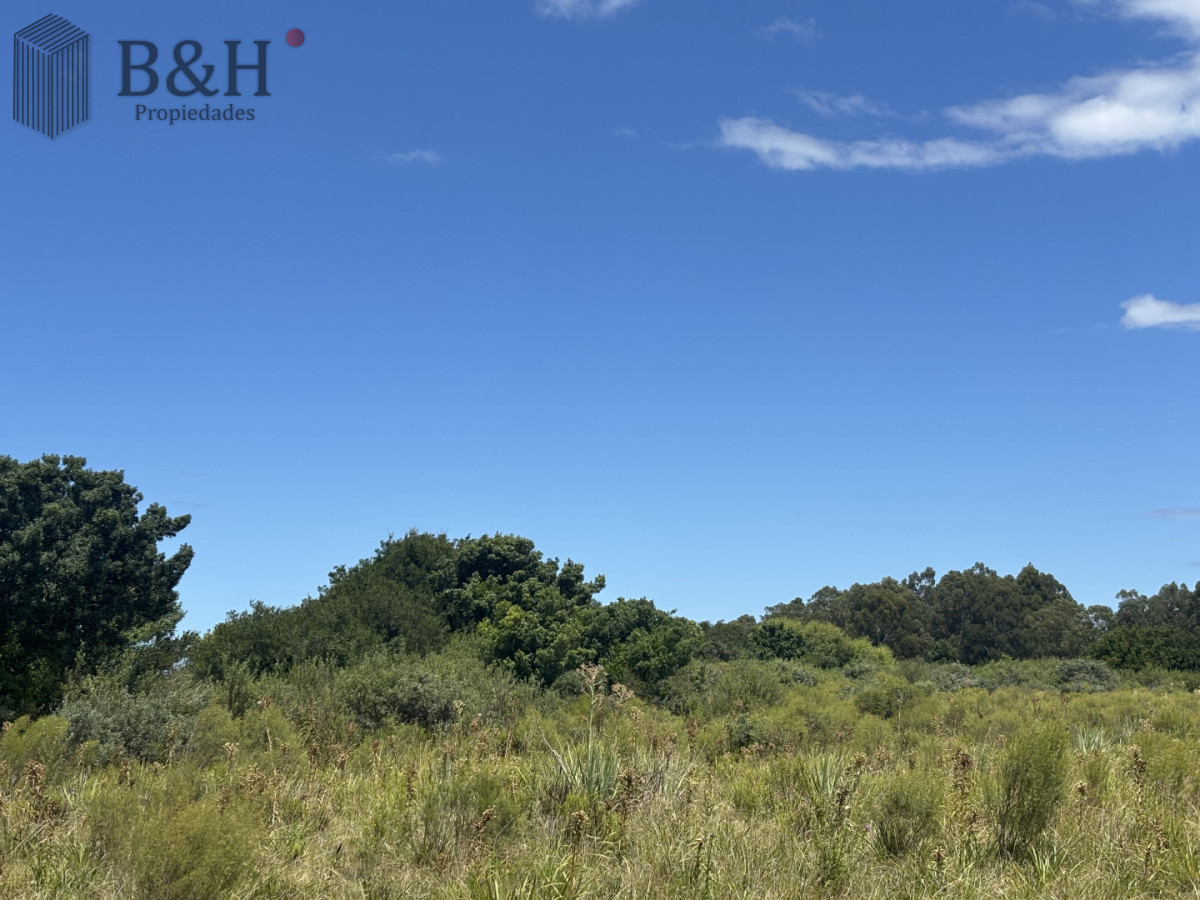 Chacra ID.7980 - Chacra de 5 has. en venta en Camino Medellin