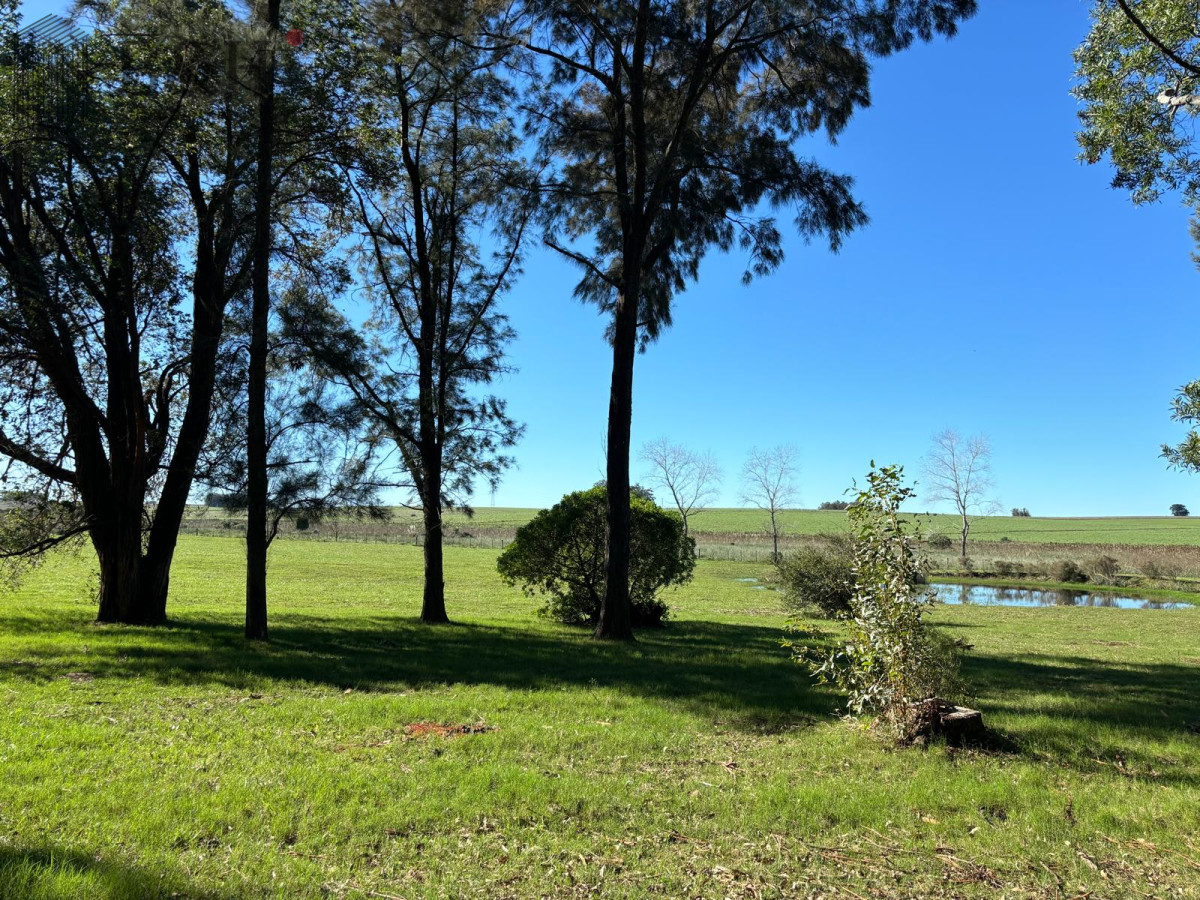 Medellin - GoPunta - Portal Inmobiliario de Punta del Este - Maldonado