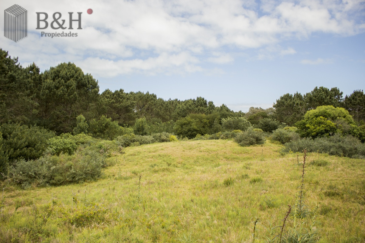 La Pedrera - GoPunta - Portal Inmobiliario de Punta del Este - Maldonado