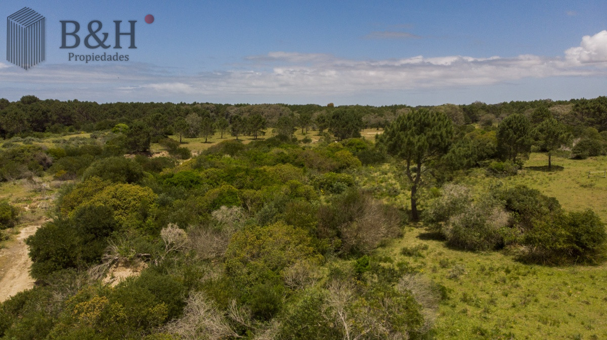 La Pedrera - GoPunta - Portal Inmobiliario de Punta del Este - Maldonado