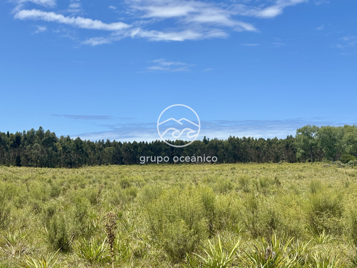 Chacra ID.60 - Chacra de 5 has. en venta en Camino Medellin