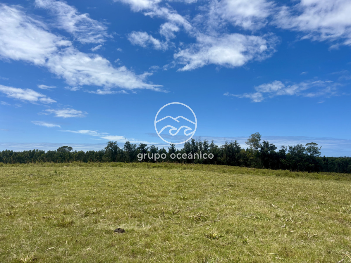 Chacra ID.60 - Chacra de 5 has. en venta en Camino Medellin