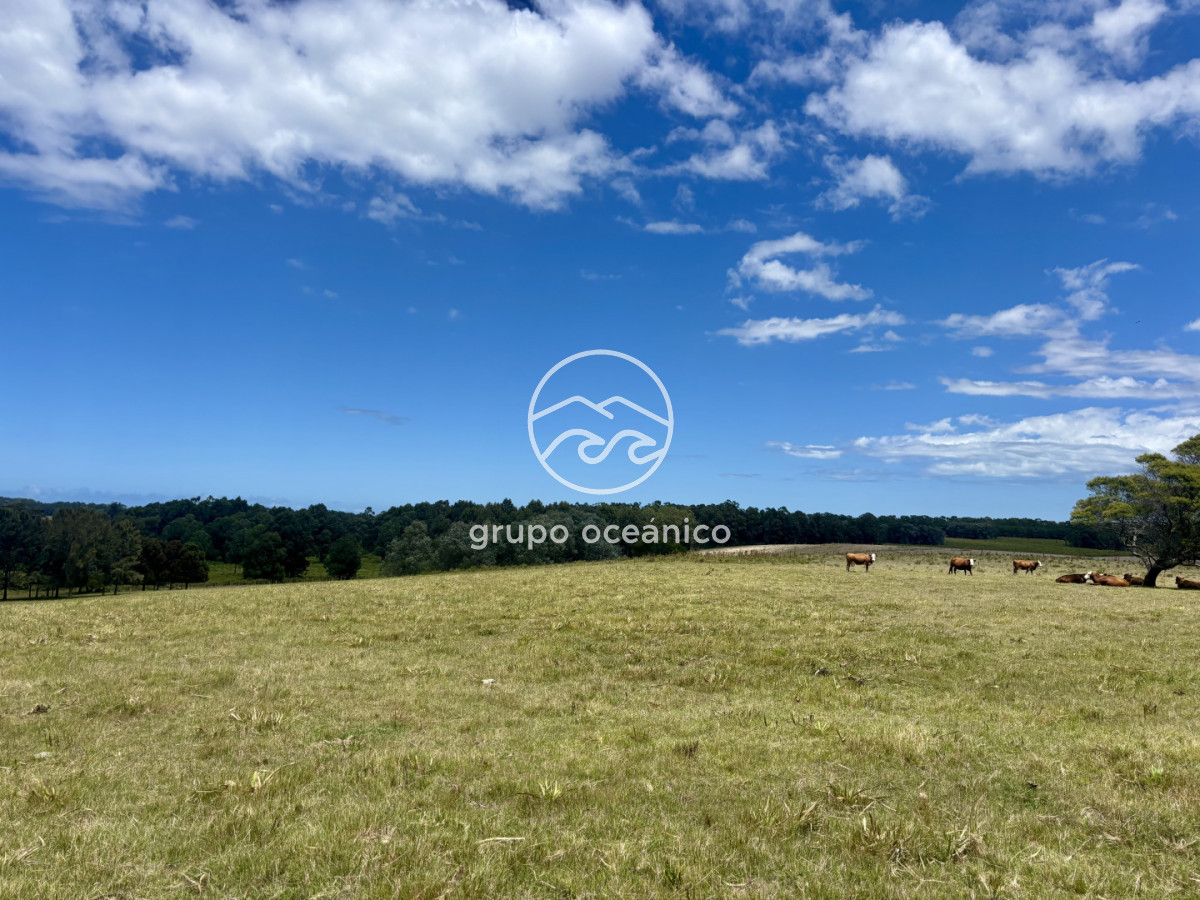 Chacra ID.60 - Chacra de 5 has. en venta en Camino Medellin