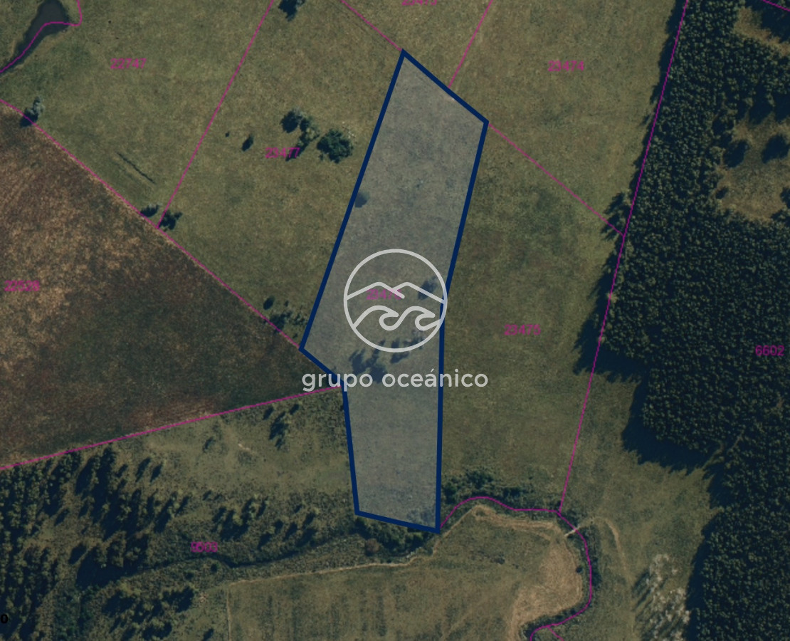 Chacra ID.60 - Chacra de 5 has. en venta en Camino Medellin