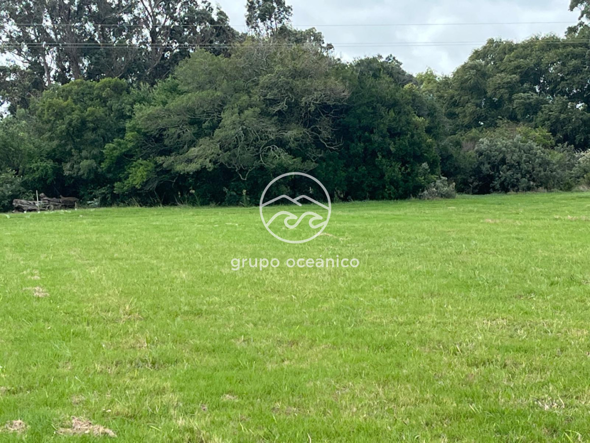 Chacra ID.61 - Venta chacra de 5 hectáreas en Camino Medellin , parquizada. 