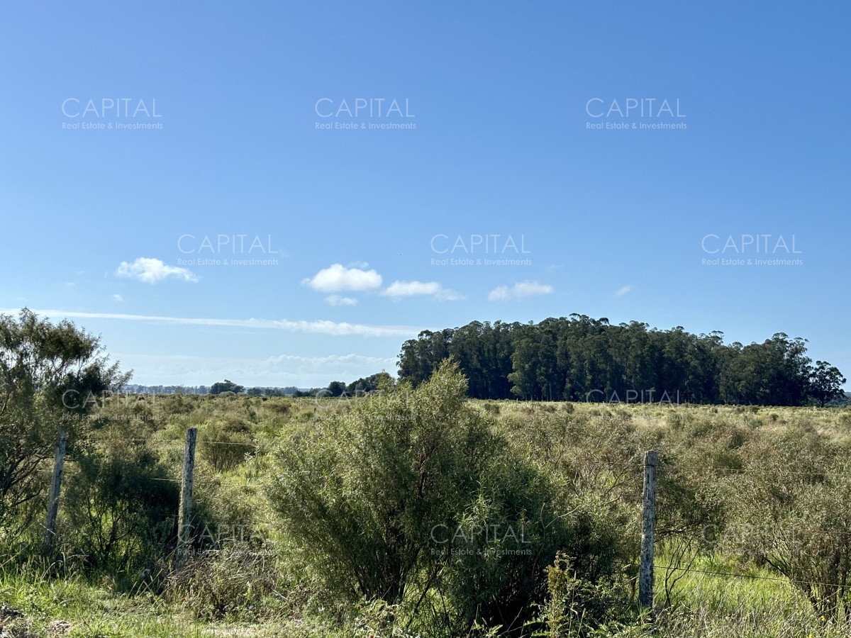 Chacra ID.38725 - Chacra de 6.6 has en Camino Medellin