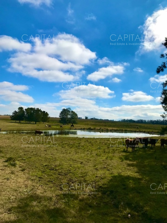 Chacra ID.38724 - Chacra en venta de 5 hectáreas - Camino Medellin 