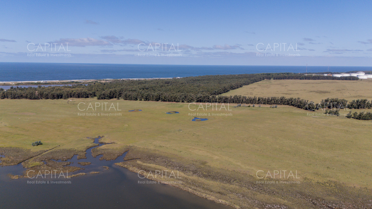 Chacra ID.39096 - Chacra de 5 has. en venta en Jose Ignacio, con costa de laguna 