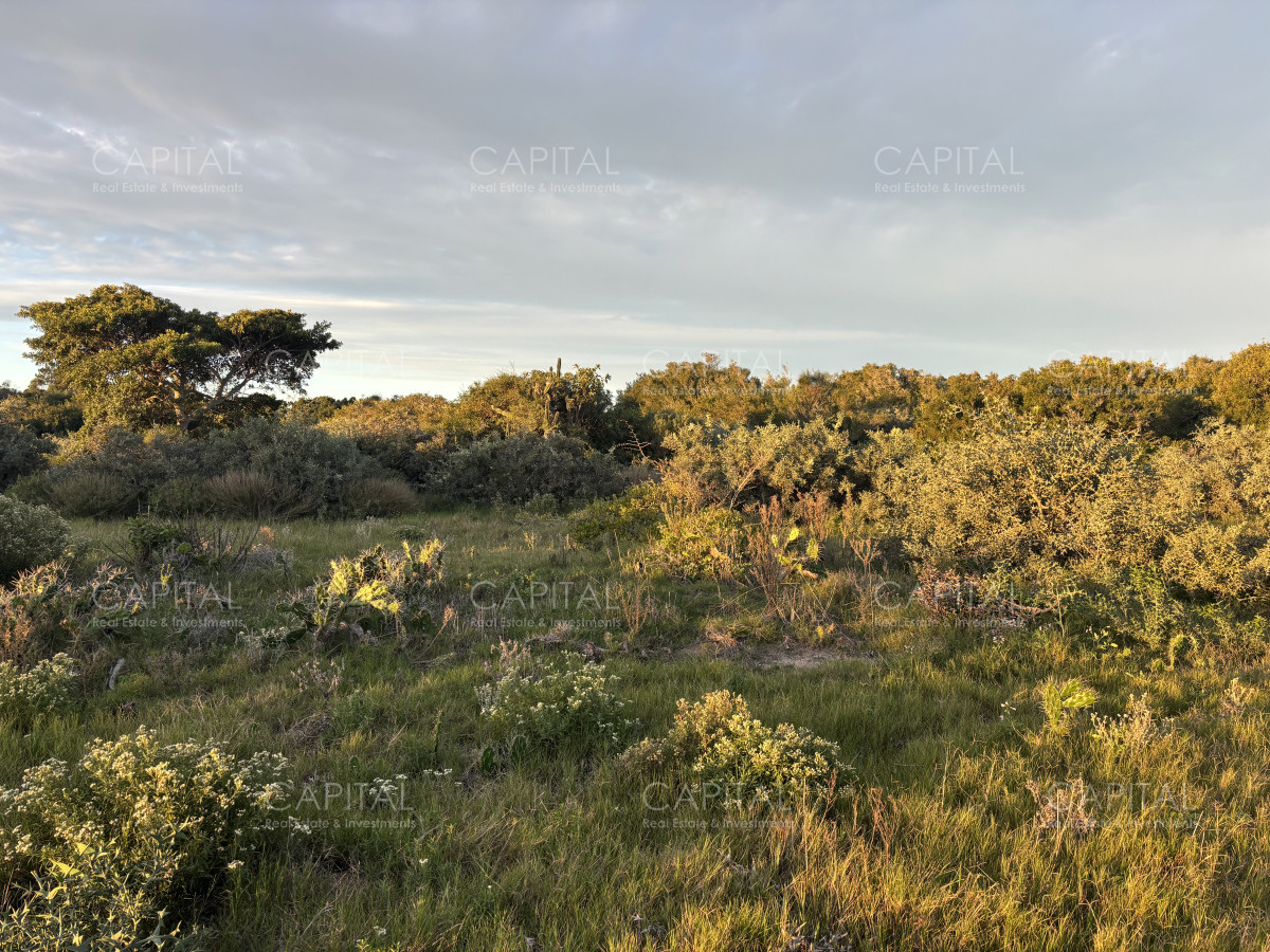 Chacra ID.38873 - Chacra de 7 has. en Venta en José Ignacio
