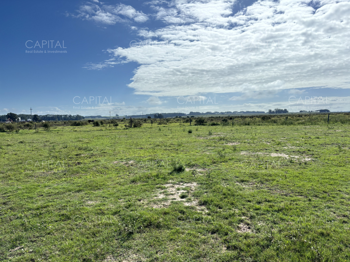 Chacra ID.38725 - Chacra de 6.6 has en Camino Medellin