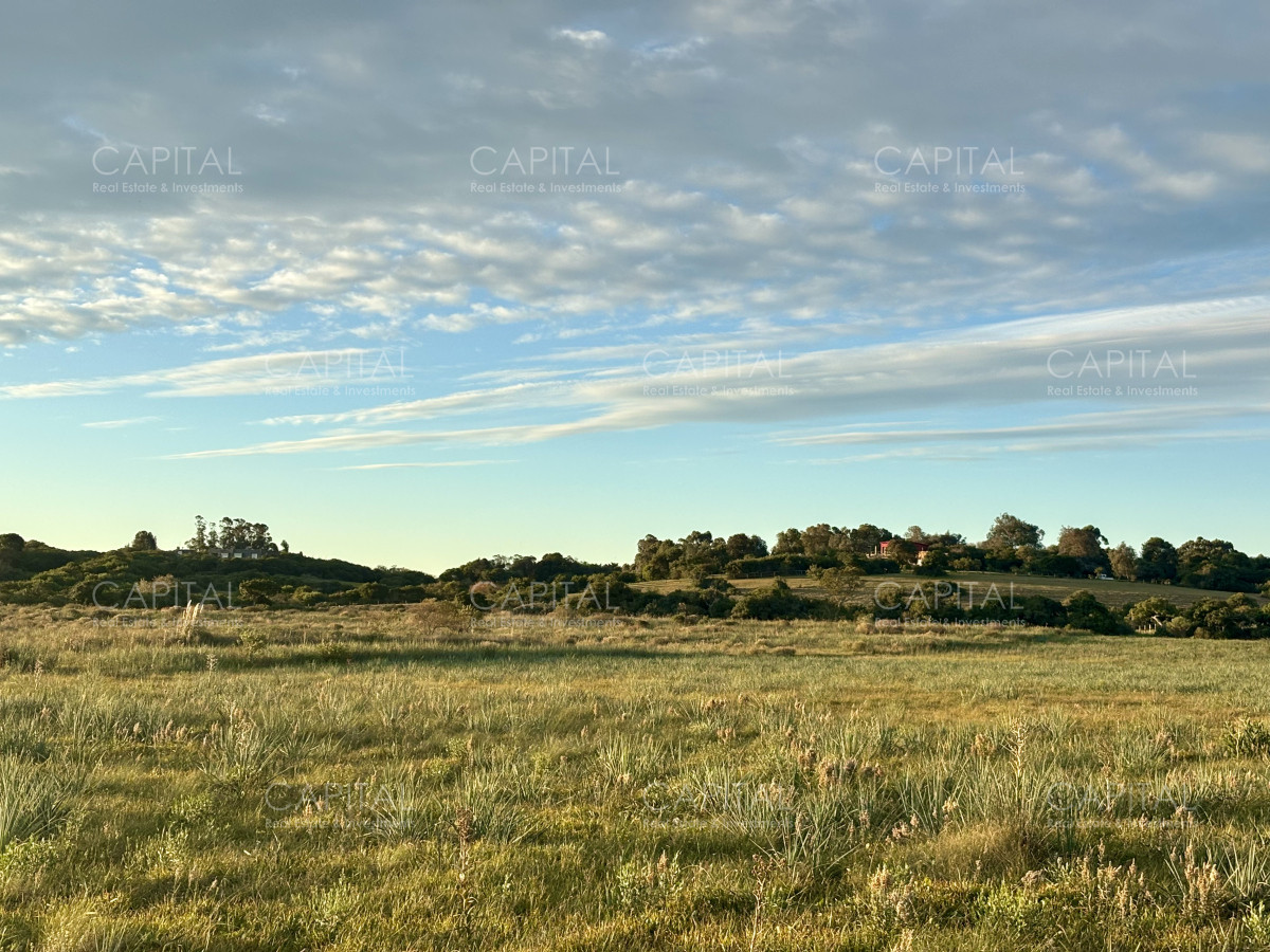 Chacra ID.38873 - Chacra de 7 has. en Venta en José Ignacio