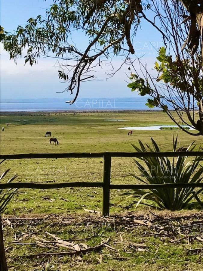 Chacra ID.39096 - Chacra de 5 has. en venta en Jose Ignacio, con costa de laguna 