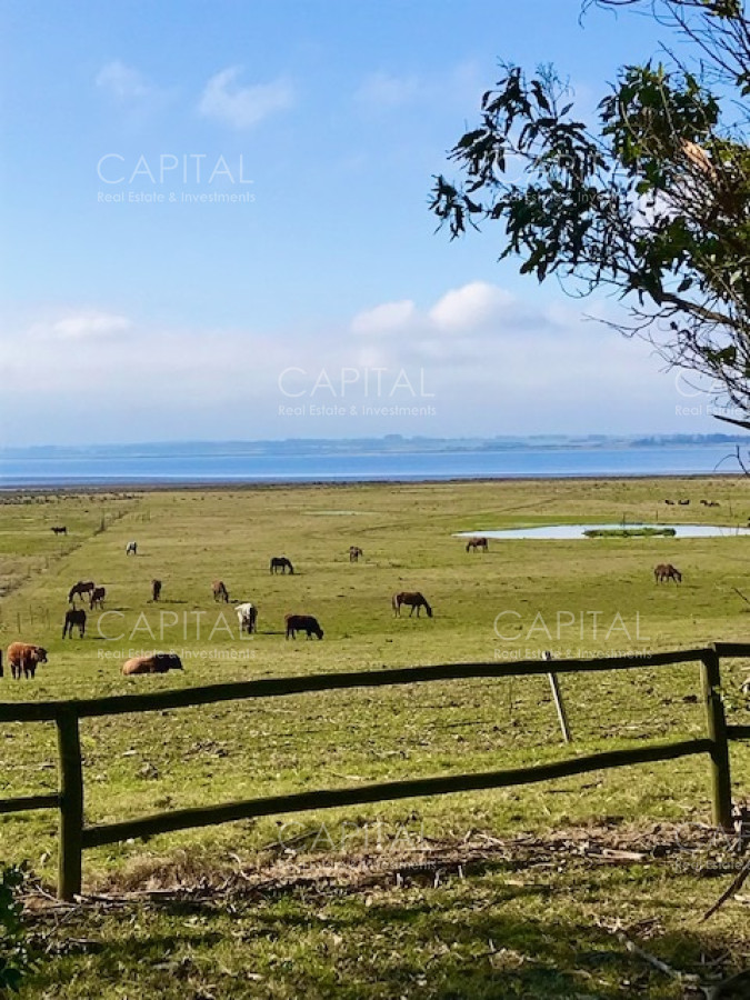 Chacra ID.39096 - Chacra de 5 has. en venta en Jose Ignacio, con costa de laguna 
