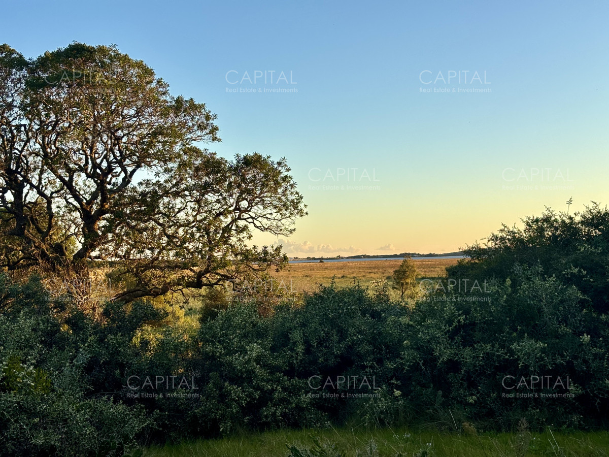 Chacra ID.38873 - Chacra de 7 has. en Venta en José Ignacio