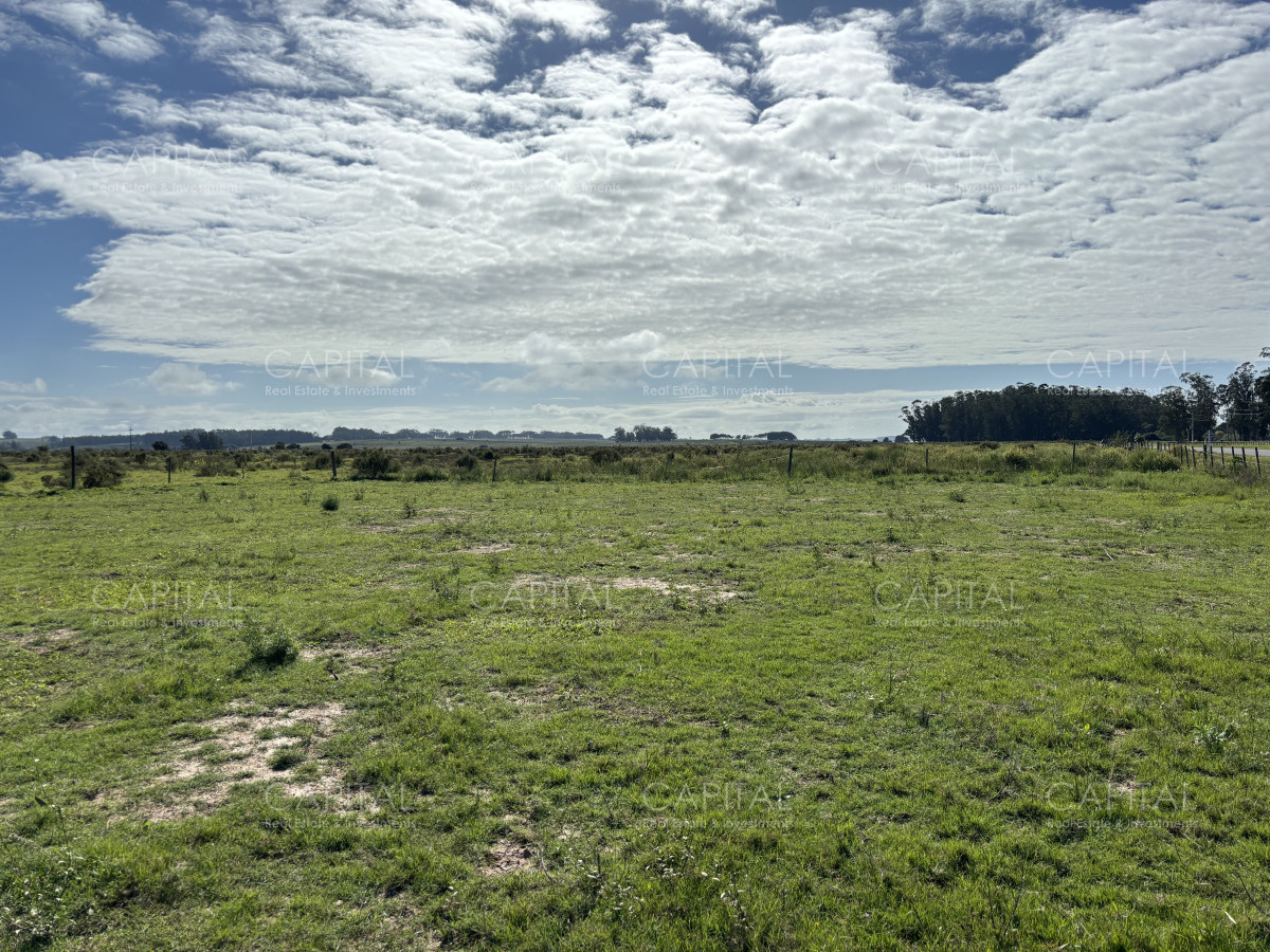 Chacra ID.38725 - Chacra de 6.6 has en Camino Medellin