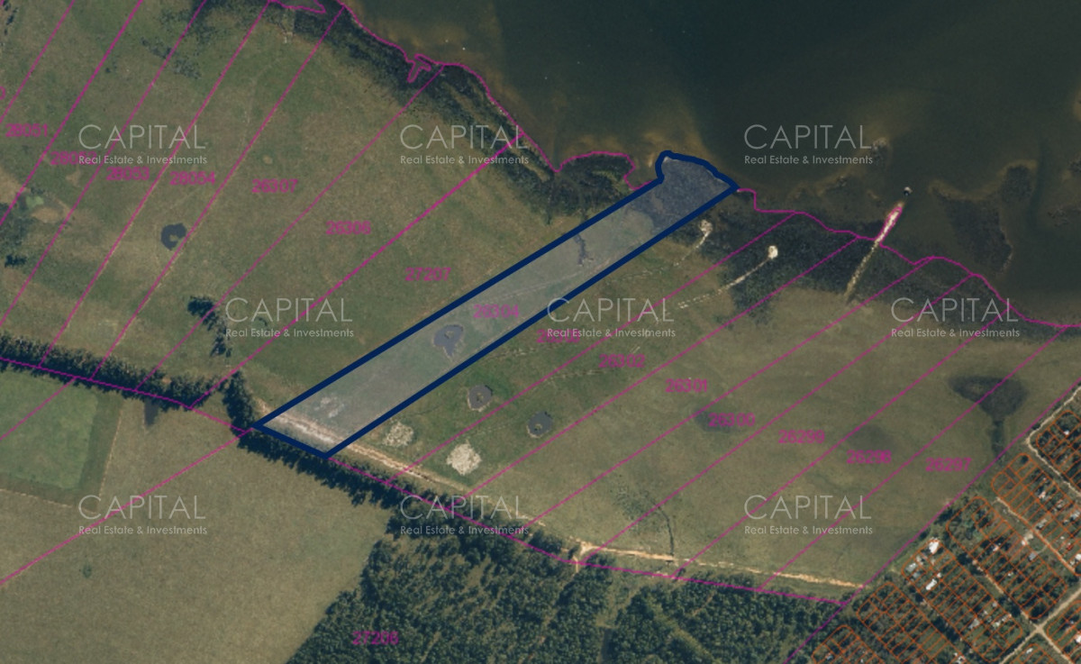 Chacra ID.39096 - Chacra de 5 has. en venta en Jose Ignacio, con costa de laguna 