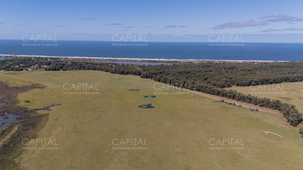 Chacra ID.39096 - Chacra de 5 has. en venta en Jose Ignacio, con costa de laguna 