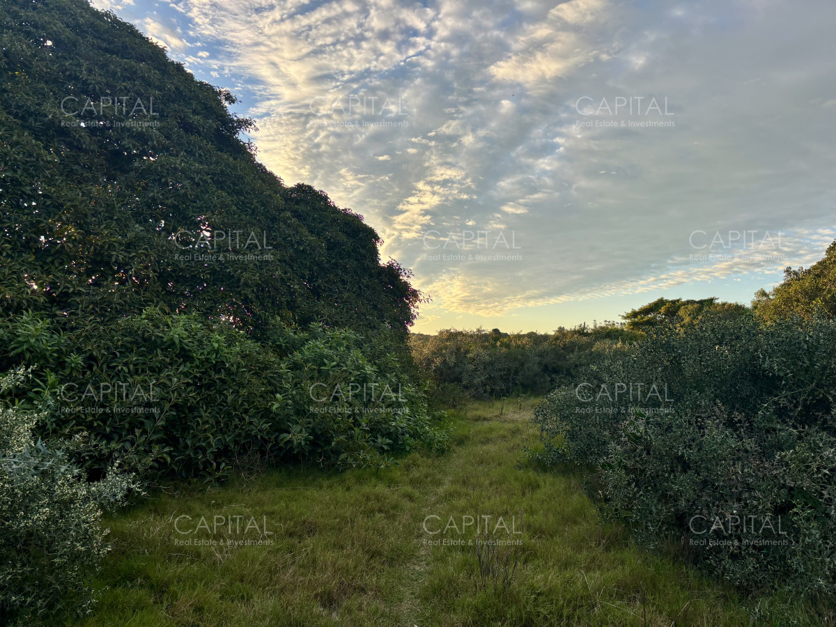 Chacra ID.38873 - Chacra de 7 has. en Venta en José Ignacio