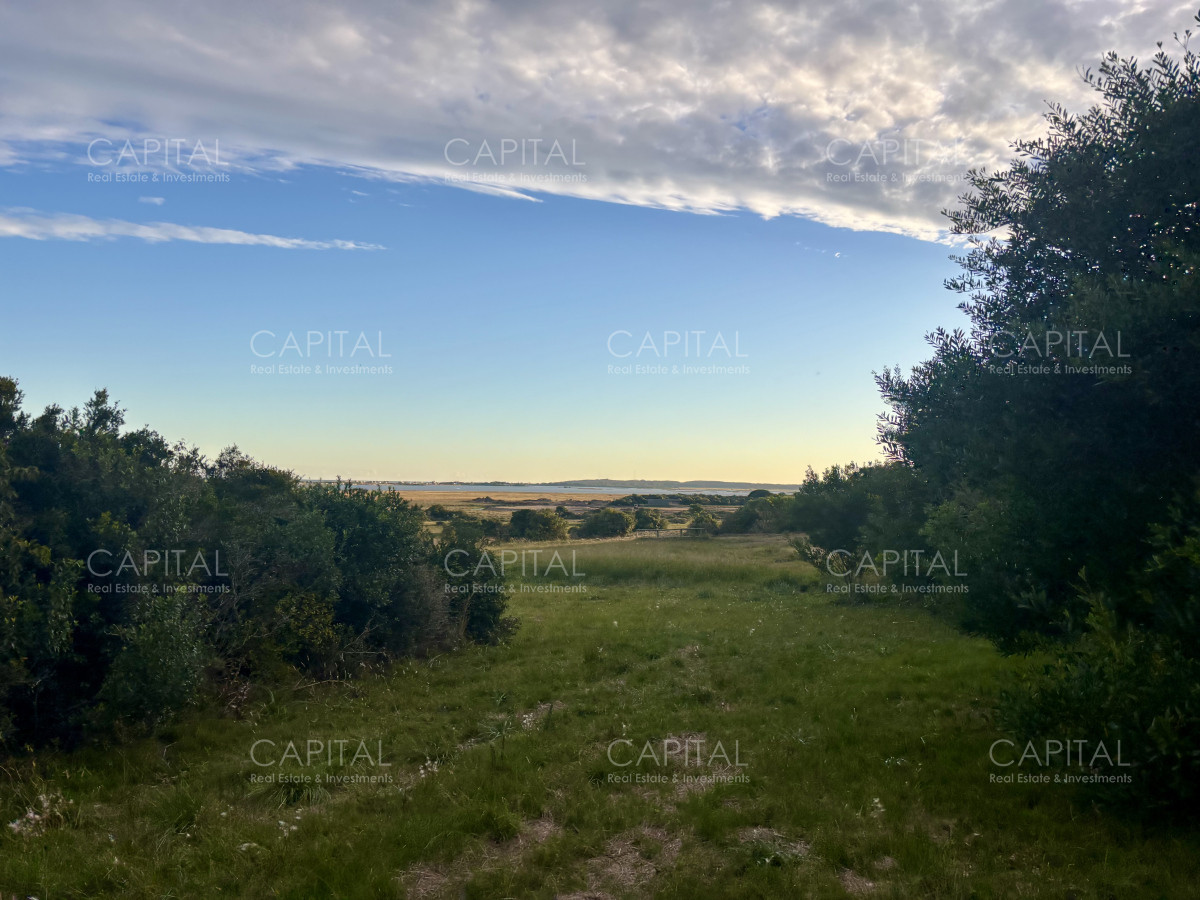 Chacra ID.38873 - Chacra de 7 has. en Venta en José Ignacio