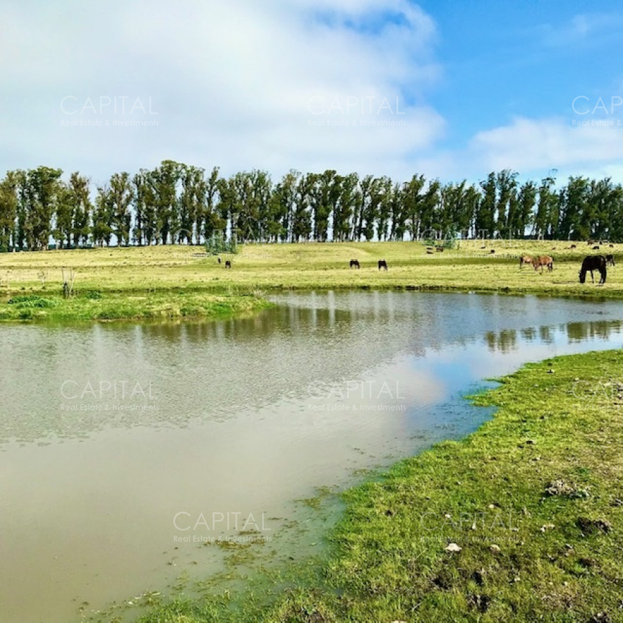 Chacra ID.39096 - Chacra de 5 has. en venta en Jose Ignacio, con costa de laguna 