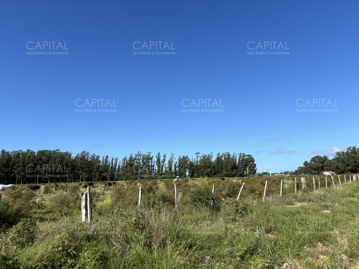 Chacra ID.38725 - Chacra de 6.6 has en Camino Medellin