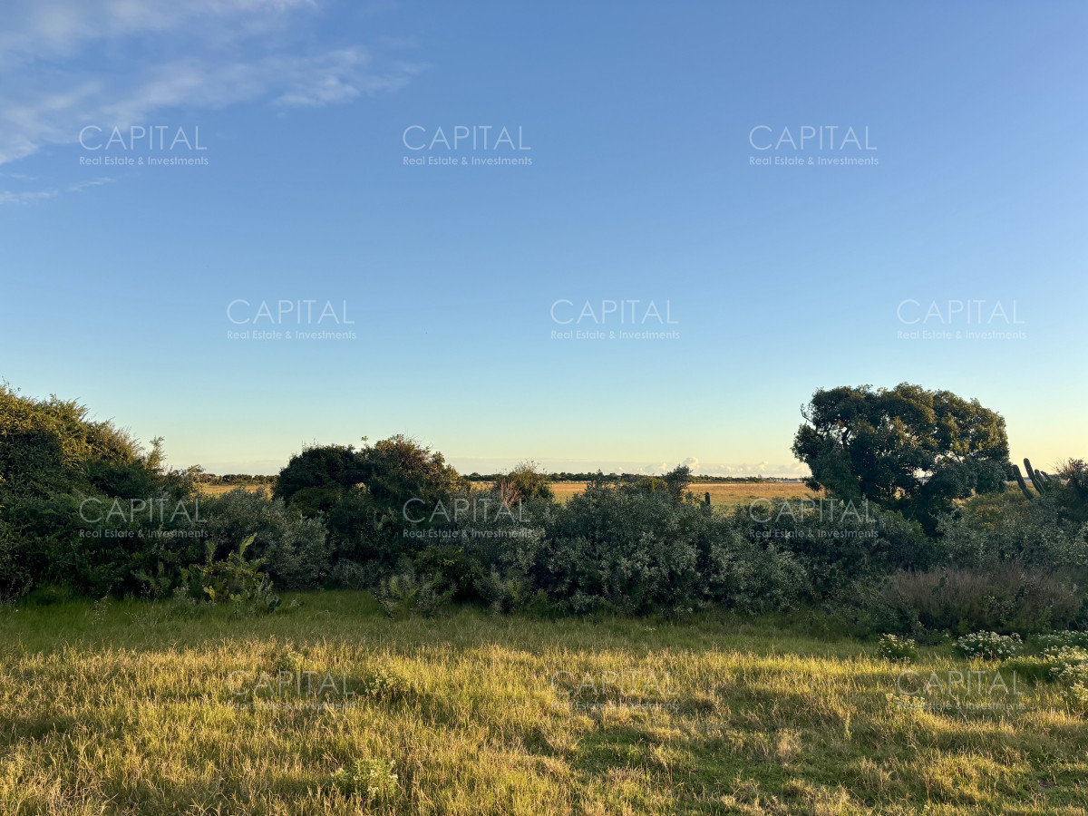 Chacra ID.38873 - Chacra de 7 has. en Venta en José Ignacio