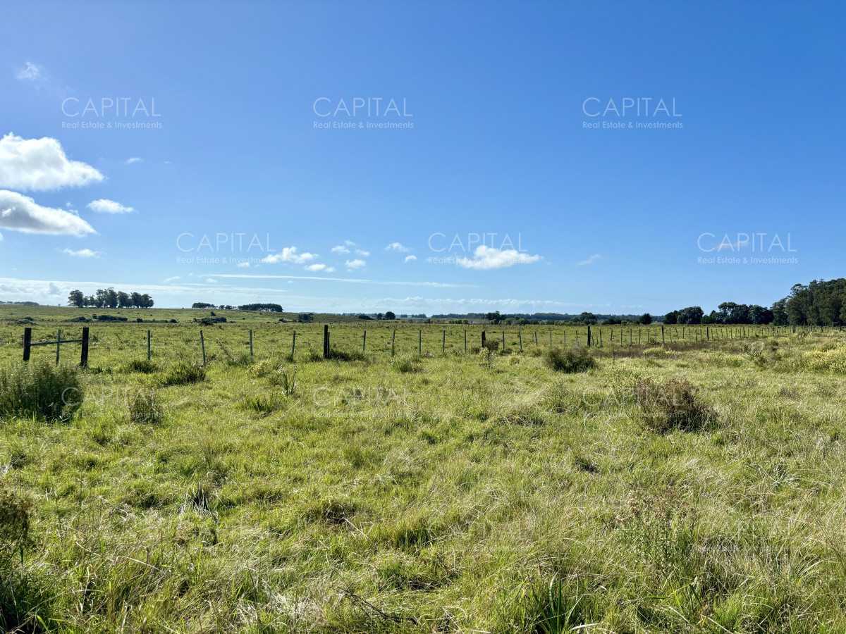 Chacra ID.38725 - Chacra de 6.6 has en Camino Medellin