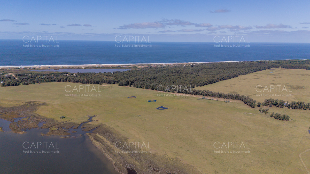 Chacra ID.39096 - Chacra de 5 has. en venta en Jose Ignacio, con costa de laguna 